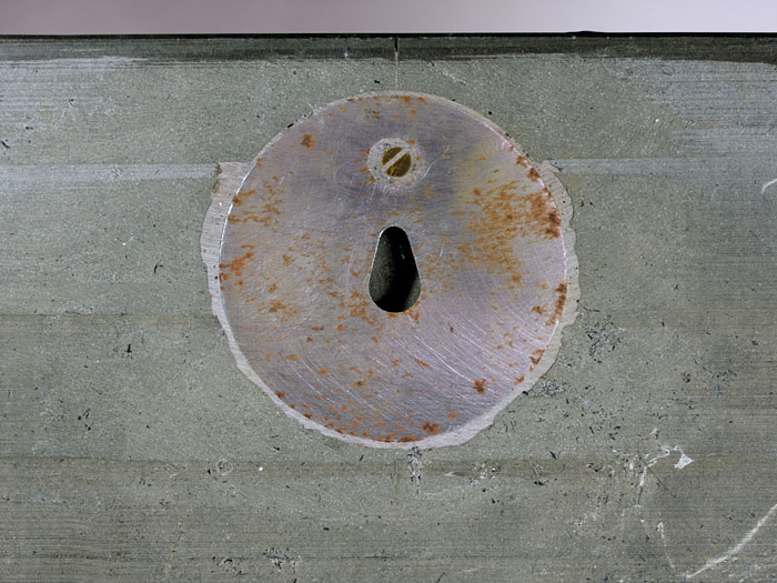 Ammoniten aus dem Posidonienschiefer von Holzmaden