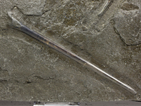 Belemniten aus dem Posidonienschiefer von Holzmaden