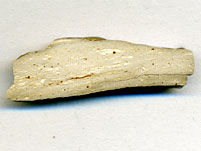 Impaktbrekzie von Tenoumer, Mauretanien