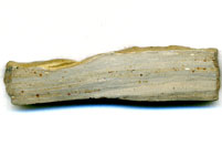 Impaktbrekzie von Tenoumer, Mauretanien