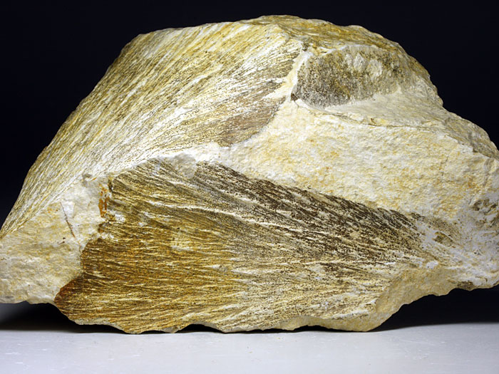 Strahlenkalk aus dem Steinheimer Becken