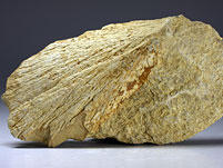 Strahlenkalk aus dem Steinheimer Becken