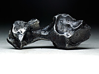Sikhote Eisenmeteorit