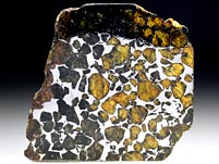 Steineisenmeteorit (Pallasit): Seymchan