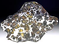 Steineisenmeteorit (Pallasit): Seymchan