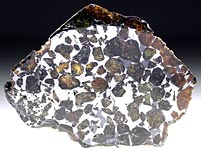 Steineisenmeteorit (Pallasit): Seymchan
