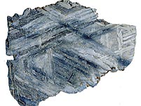 Steineisenmeteorit (Pallasit): Seymchan