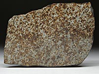 Steinmeteorit, NWA 869, Sahara