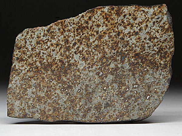 Steinmeteorit, NWA 869