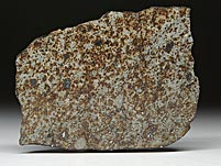 Steinmeteorit, NWA 869, Sahara