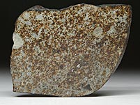 Steinmeteorit, NWA 869, Sahara