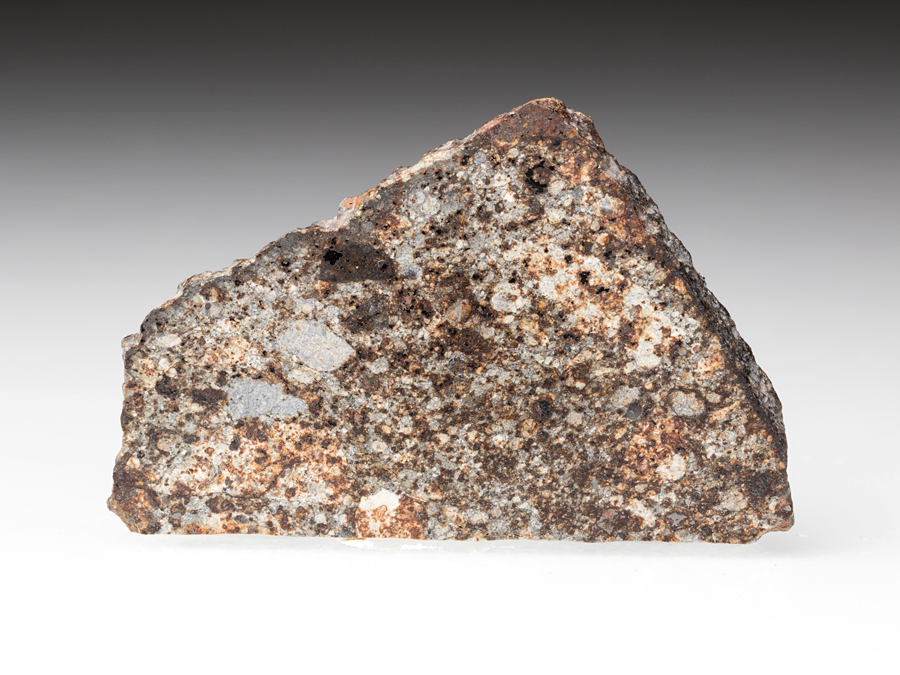 NWA-869 Steinmeteorit