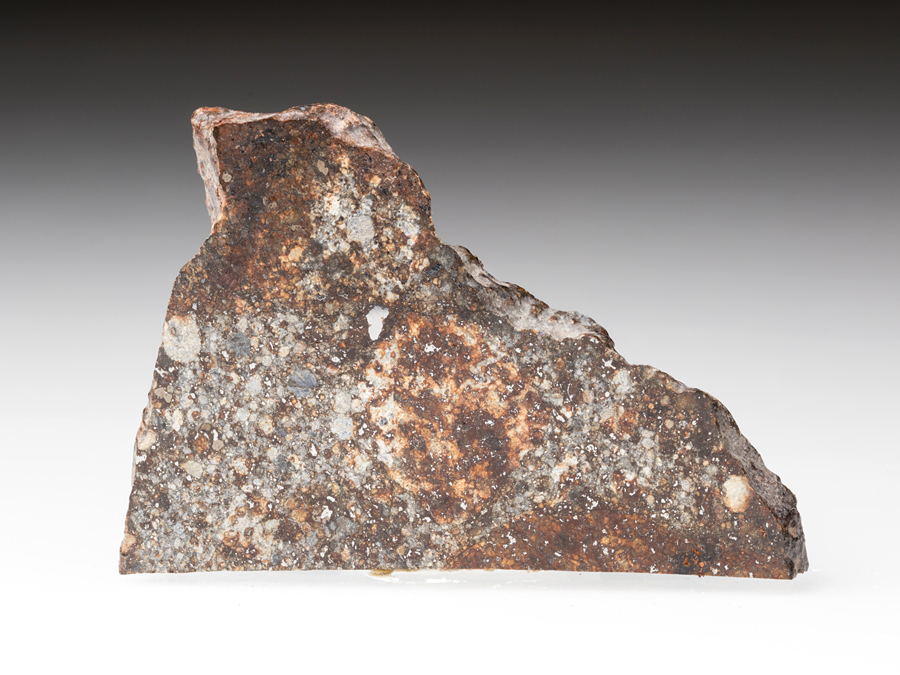 NWA-869 Steinmeteorit
