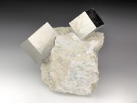 Pyritwürfel auf Matrix