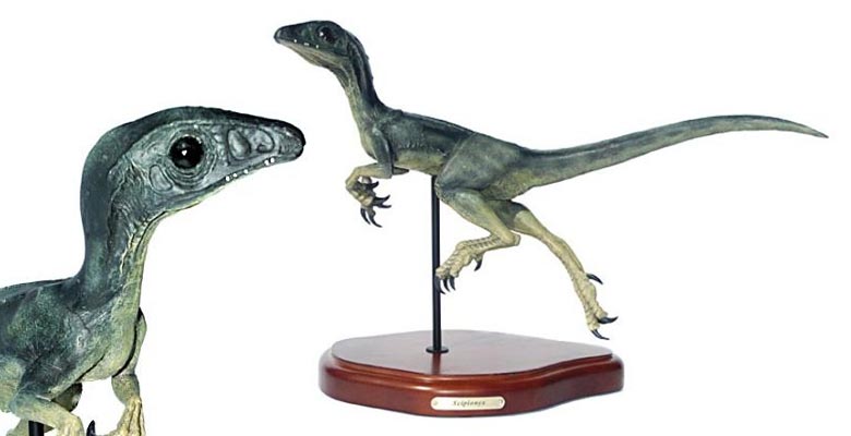 Scipionyx