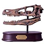 Velociraptor    