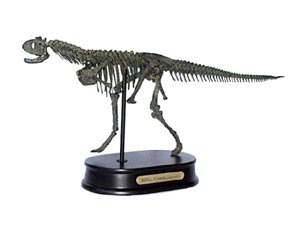 Carnotaurus-Skelett