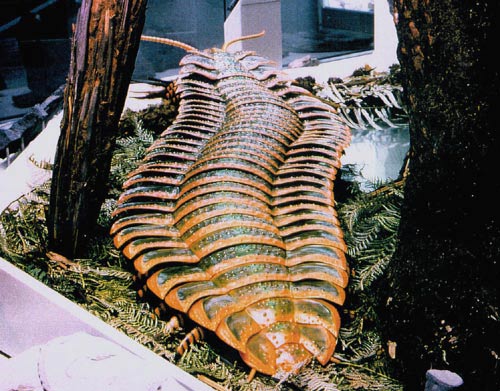 Arthropleura Wikip dia A Enciclop dia Livre