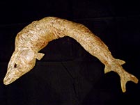 versteinerter Fisch aus Brasilien