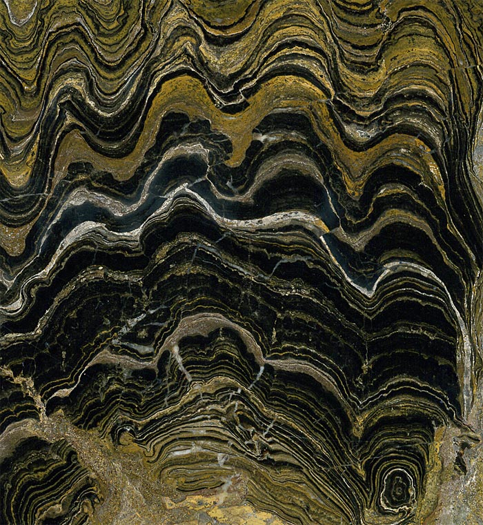 Stromatolithen aus Bolivien