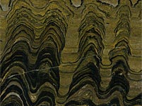 gro�e Stromatolithenplatte aus Bolivien