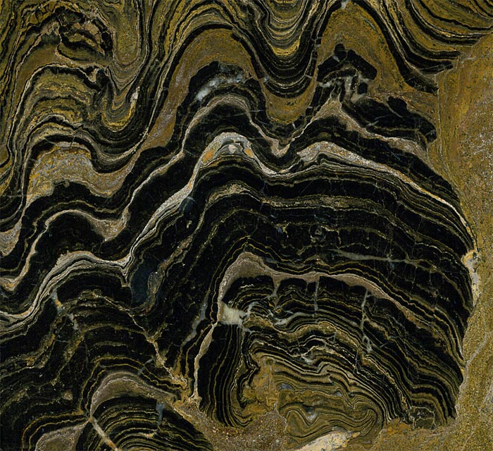 Stromatolithen aus Bolivien