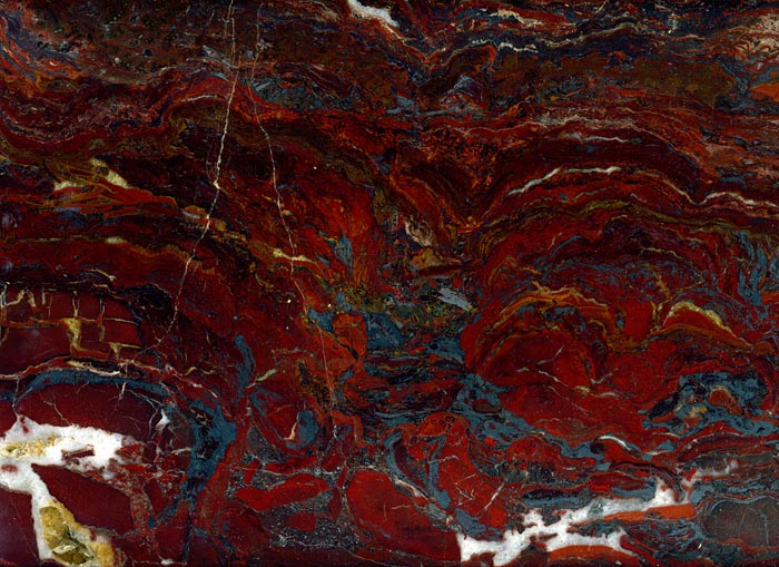 Stromatolithen aus Amerika