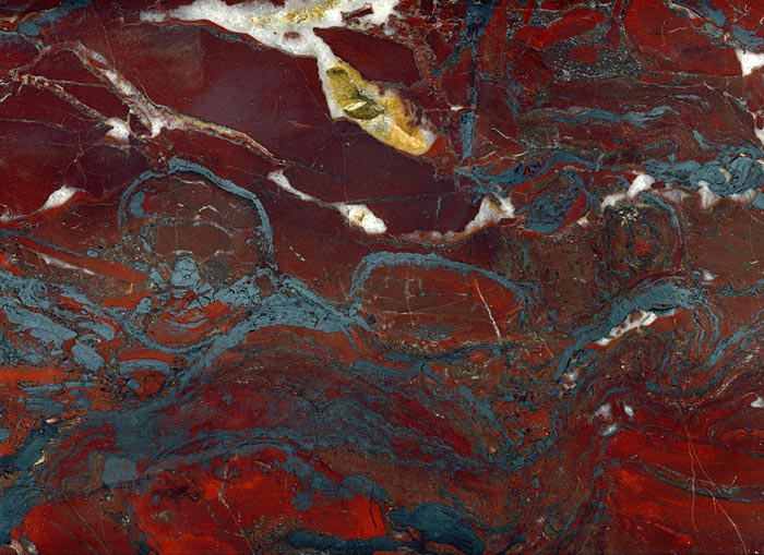 Stromatolithen aus Amerika