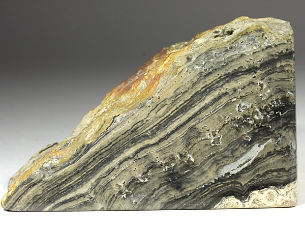 Stromatolith aus Deutschland, Th�ster Berg