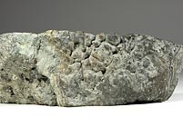Stromatolithen aus Deutschland