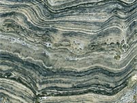 Stromatolithen aus Deutschland (Th�ster Berg)