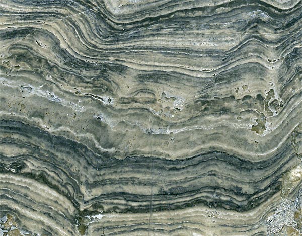 Stromatolith aus Deutschland, Th�ster Berg