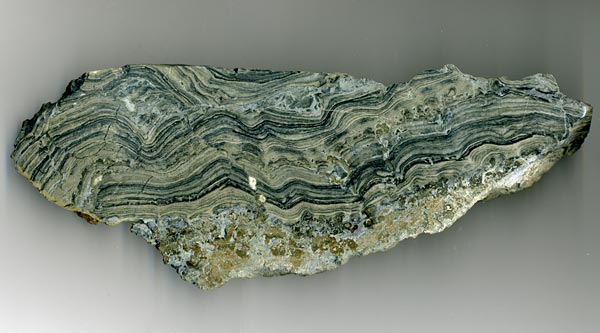 Stromatolith aus Deutschland, Th�ster Berg