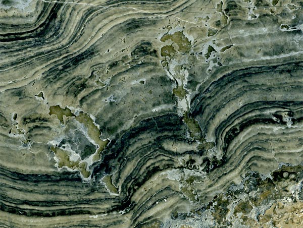 Stromatolith aus Deutschland, Th�ster Berg