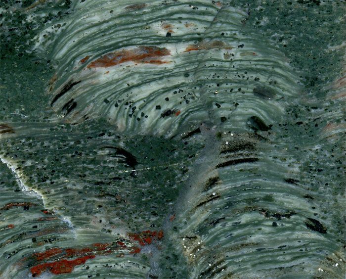 Stromatolithen aus Amerika