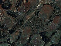 Stromatolithen aus Minnesota
