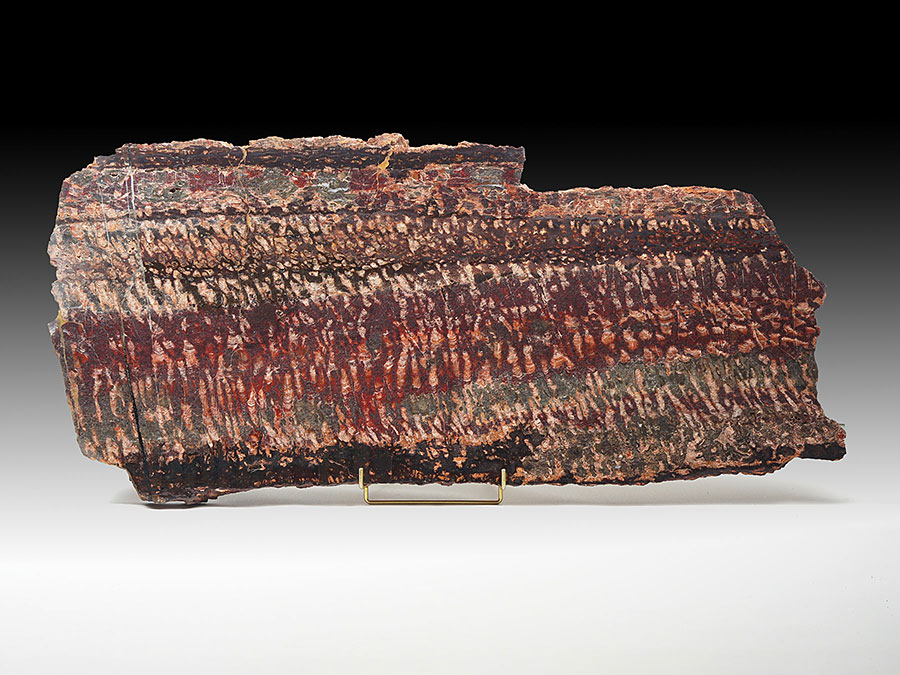 Stromatolithen-Platte