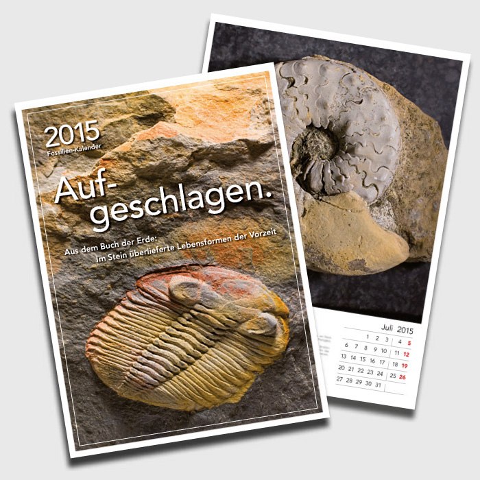 Fossilienkalender 2015