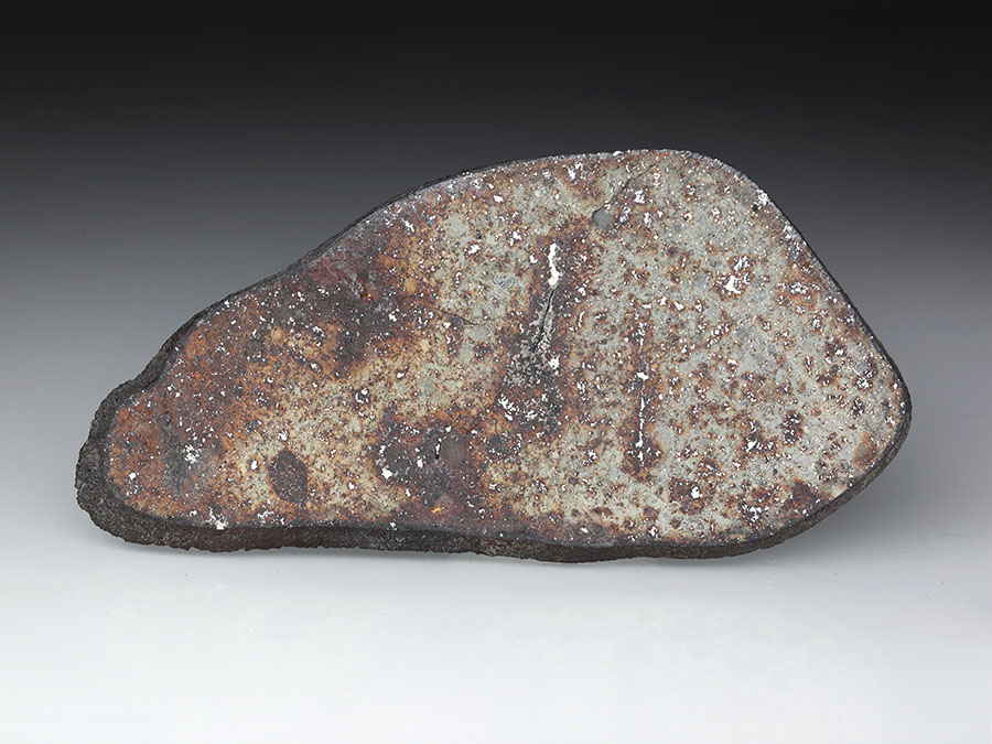 Steinmeteorit La Ciénega