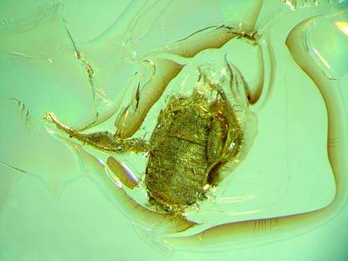 Bernstein mit Inklusen