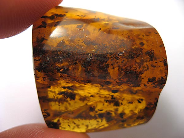 Bernstein aus dem Baltikum