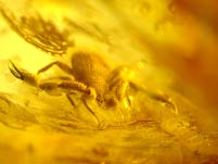 Bernstein mit Inklusen