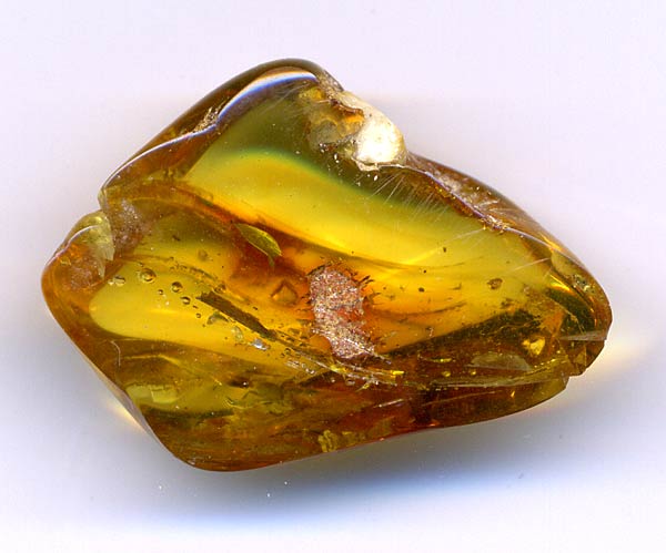 Bernstein aus dem Baltikum