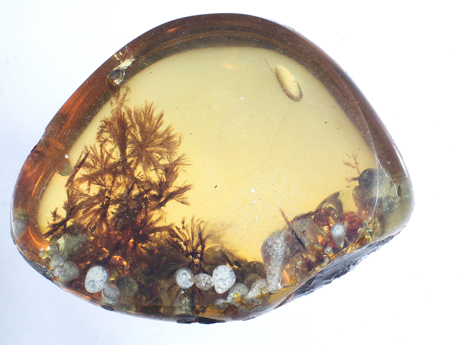 Bernstein aus Burma / Myanmar mit Inklusen zum Kaufen