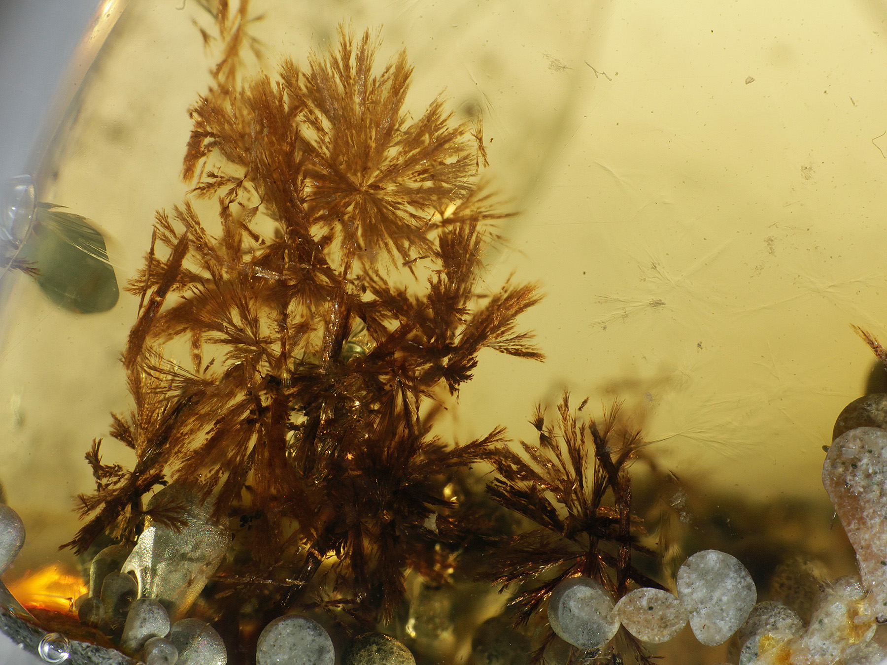 Bernstein aus Burma / Myanmar mit Inklusen zum Kaufen