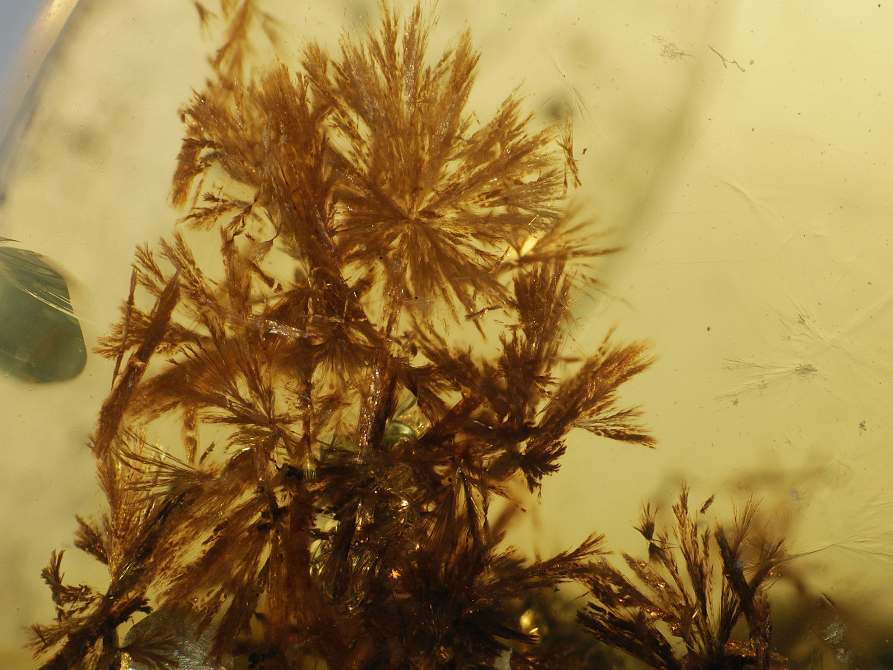 Bernstein aus Burma / Myanmar mit Inklusen zum Kaufen