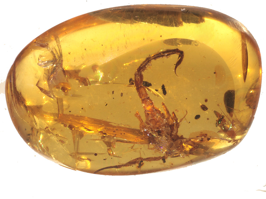 Bernstein aus Burma / Myanmar