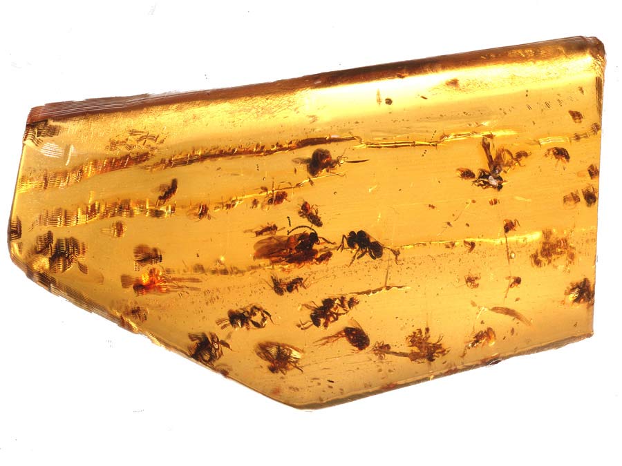 Bernstein aus Kolumbien