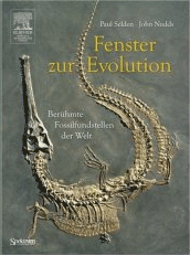Fenster zur Evolution