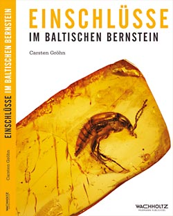 Carsten Gröhn - Enschlüsse im Baltischen Bernstein